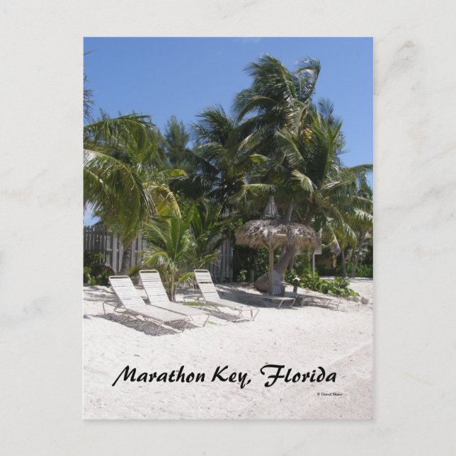 Marathon Key, Florida Postcard (Front)