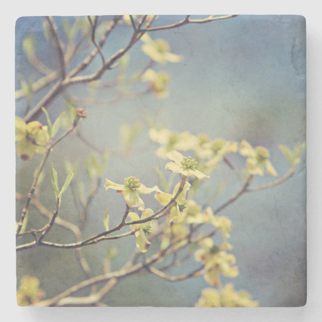 Marble and Dogwoods coaster (Front)