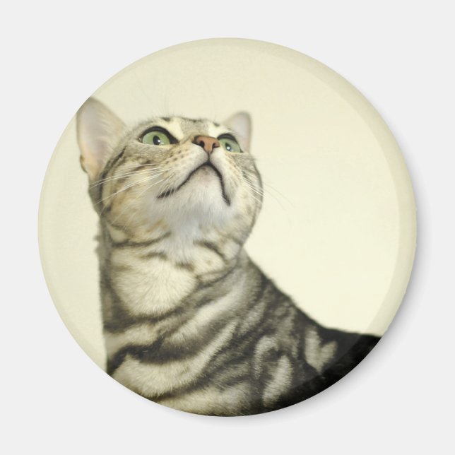 Marble Bengal Cat Magnet (Front)