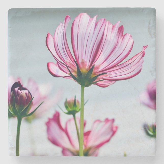 Marble Cosmos Coaster (Front)