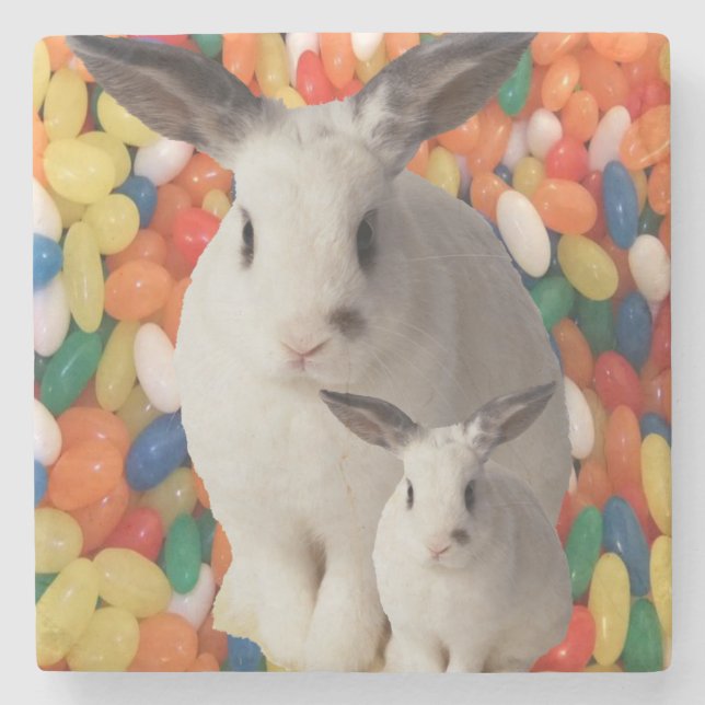 Marble Stone Coaster Easter (Front)