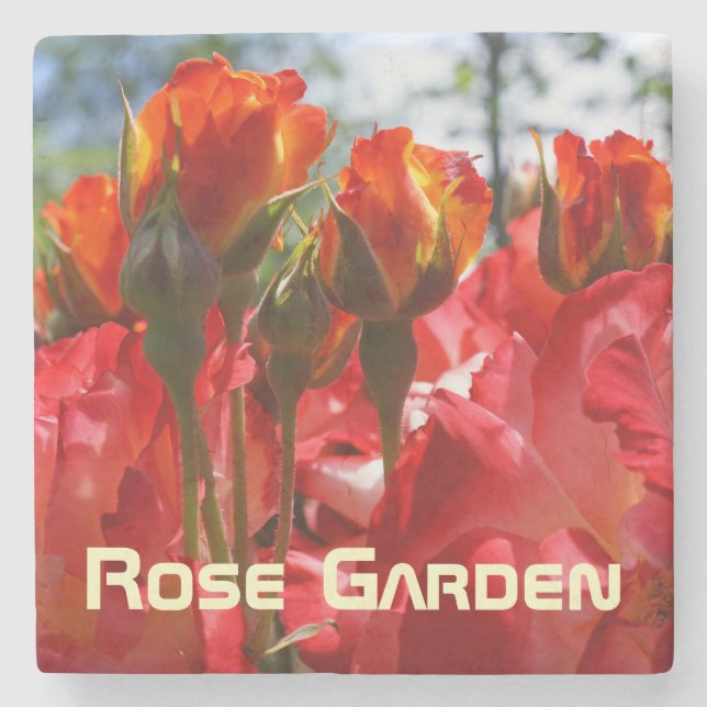 Marble Stone coasters Rose Garden Red Roses (Front)
