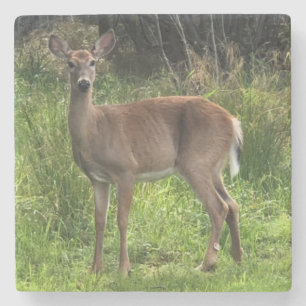 Marble Stone Deer Coaster