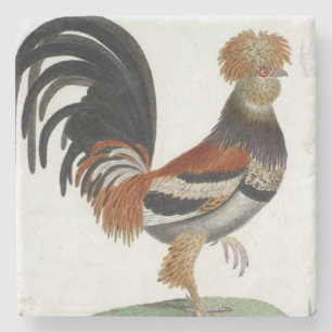 Marble Stone French Bird Coaster