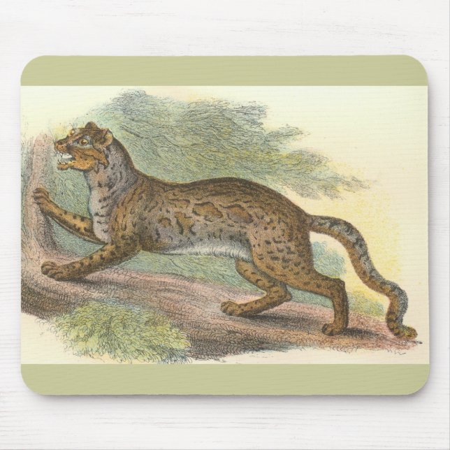 Marbled Cat, Felis marmorata Mouse Pad (Front)