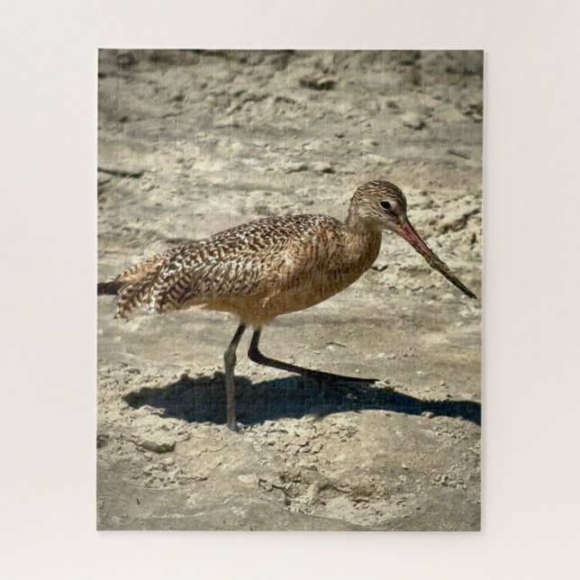 Marbled Godwit Jigsaw Puzzle (Vertical)