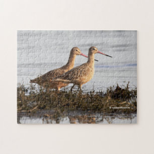 Marbled Godwits Shorebirds Wandering Blackie Spit Jigsaw Puzzle