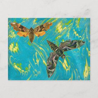Marbled Moth Postcard