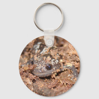 marbled salamander key chain