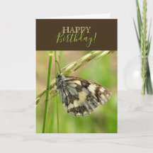 Marbled White Butterfly on Grass