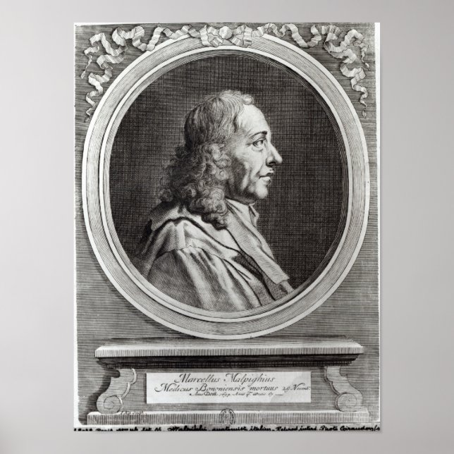 Marcello Malpighi  aged 67, 1694 Poster (Front)