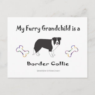 march112015BorderCollie.jpg Postcard
