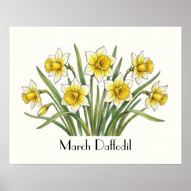 March Daffodil Flowers Poster (Front)