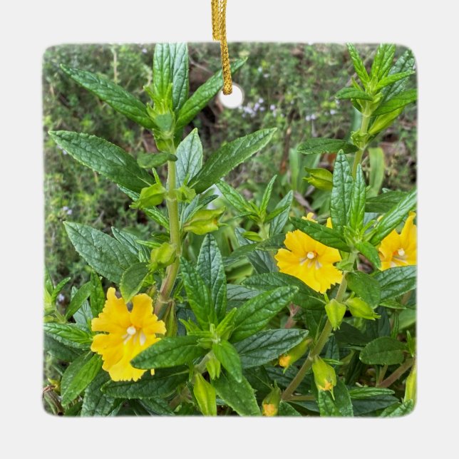 March Monkeyflowers Ceramic Ornament (Front)