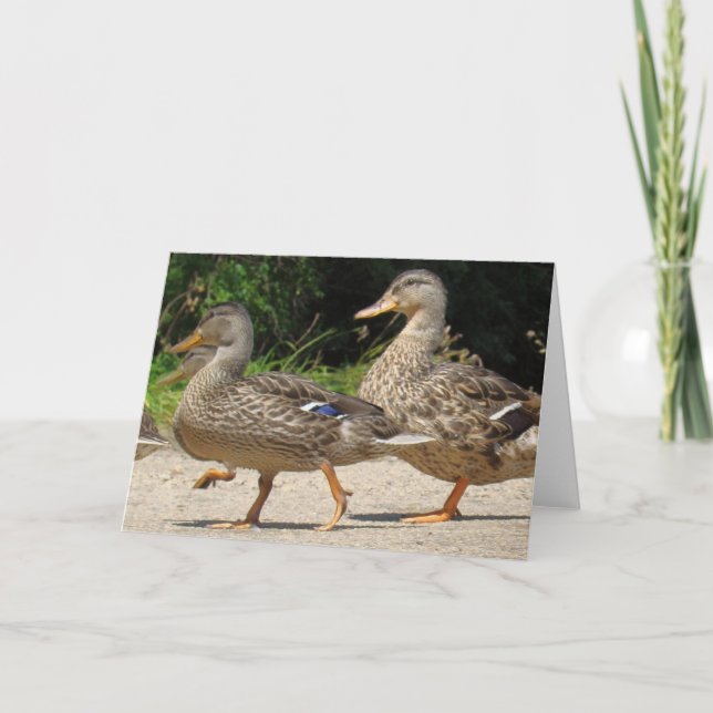 March of the Ducks Greeting Card (Front)