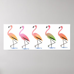 March of the Tropical Flamingos Poster