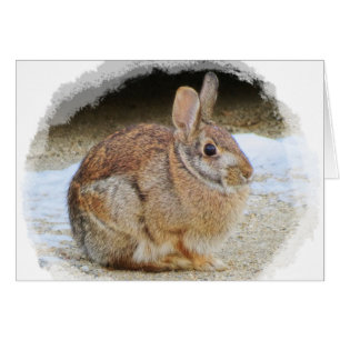 March Rabbit with Vignette