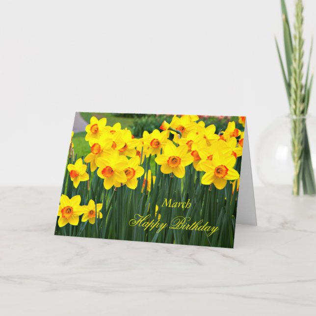 March Stunning Yellow Daffodils Birthday Card (Front)