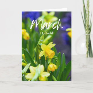 March Yellow Daffodil Birth Month Flower Birthday Card