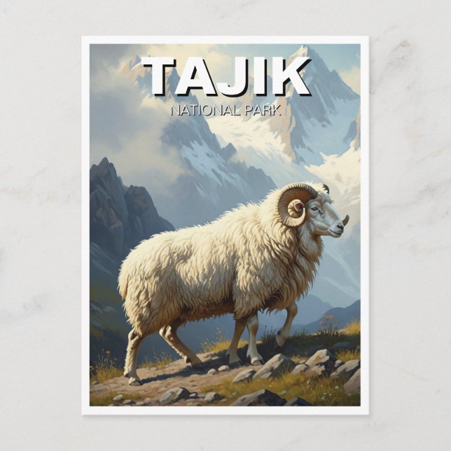 Marco Polo Sheep in Tajik National Park Travel Postcard (Front)