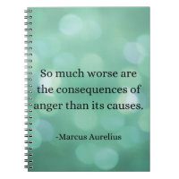 Marcus Aurelius: Conquer Anger, Find Inner Peace