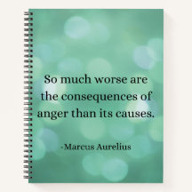 Marcus Aurelius: Conquer Anger, Find Inner Peace