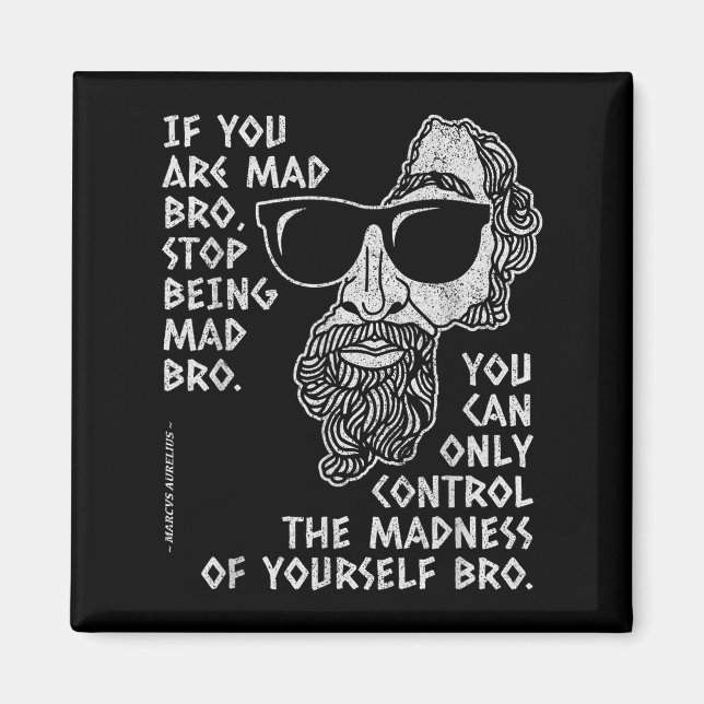 Marcus Aurelius Stoic Philosopher Ancient Roman Jo Magnet (Front)