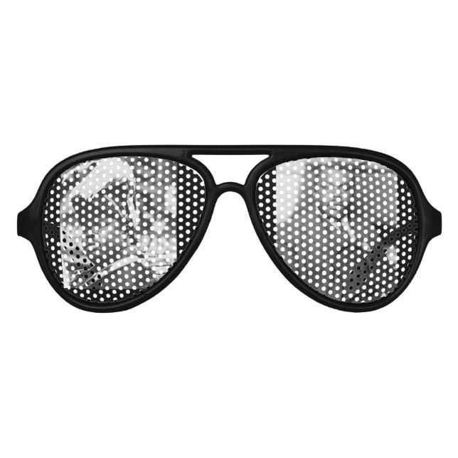 Marcus Garvey Aviator Sunglasses (Front)