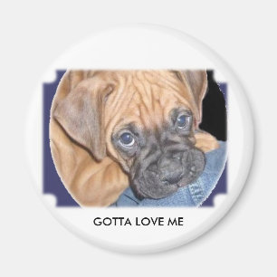 marcys dog here, GOTTA LOVE ME Magnet