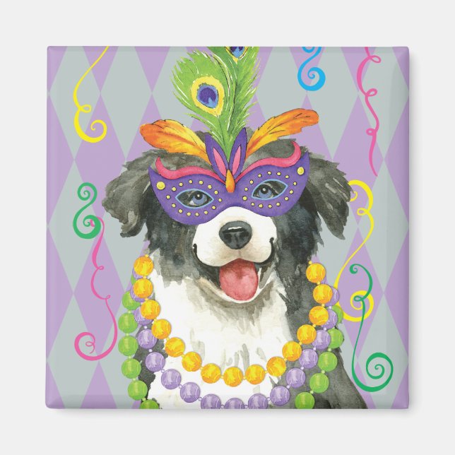 Mardi Gras Border Collie Magnet (Front)