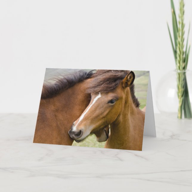 Mare And Colt Card (Front)