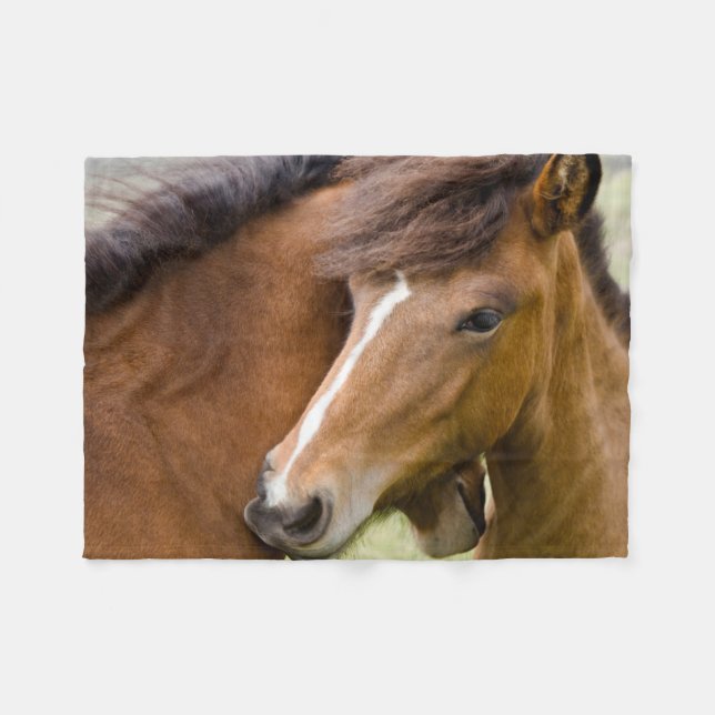 Mare And Colt Fleece Blanket (Front (Horizontal))