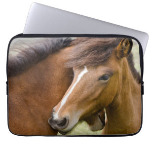 Mare And Colt Laptop Sleeve