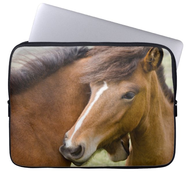 Mare And Colt Laptop Sleeve (Front)