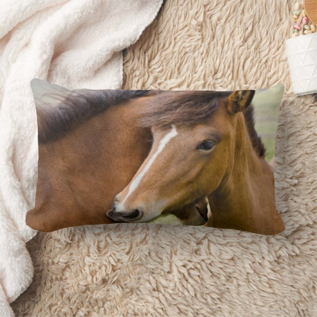 Mare And Colt Lumbar Cushion (Blanket)