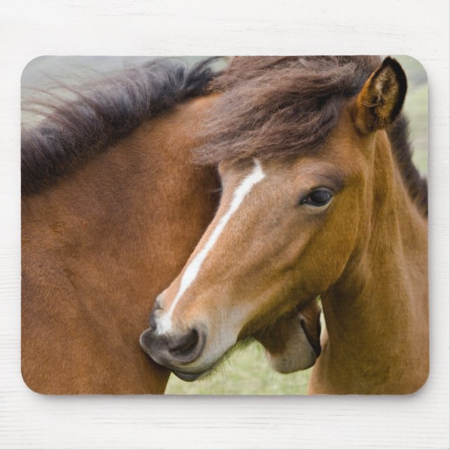 Mare And Colt Mouse Pad (Front)