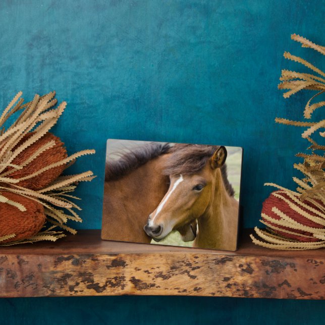 Mare And Colt Plaque (Side)