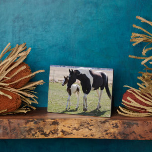 Mare and Filly Walking Plaque