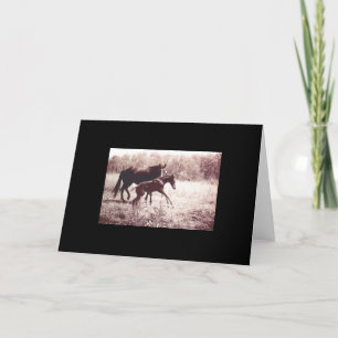 Mare and Foal Card