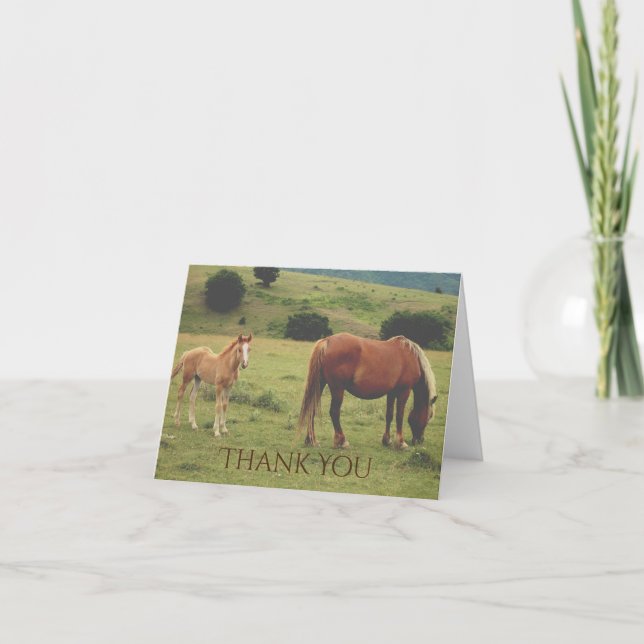 Mare and Foal Grazing on Hillside Horse Thank You Card (Front)