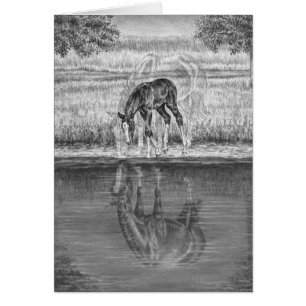 Mare and Foal Horse Drawing by Kelli Swan