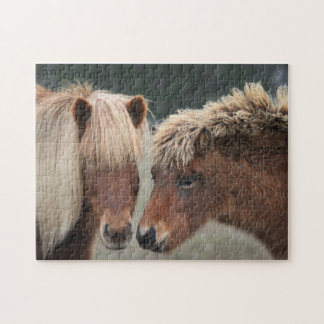 Mare and Foal Icelandic Horse Puzzle