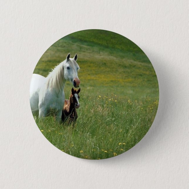 Mare and Foal in Tall Grass 6 Cm Round Badge (Front)
