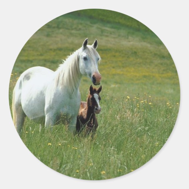 Mare and Foal in Tall Grass Classic Round Sticker (Front)