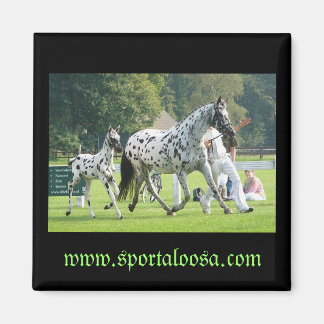 mare and foal magnet