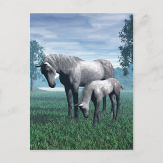 Mare and Foal Postcard