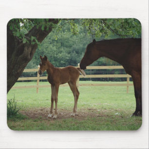 Mare and Foal Under Tree Mouse Pad