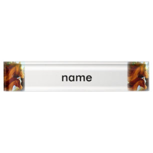 mare and pony nameplate