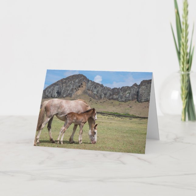 Mare & Colt at Volcanic Crater of Rano Raraku Card (Front)