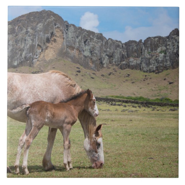 Mare & Colt at Volcanic Crater of Rano Raraku Ceramic Tile (Front)